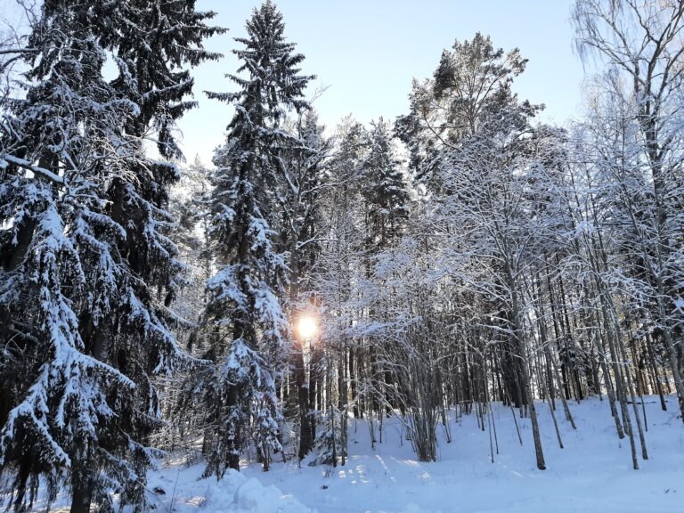 Puhkemaja loodusvaated