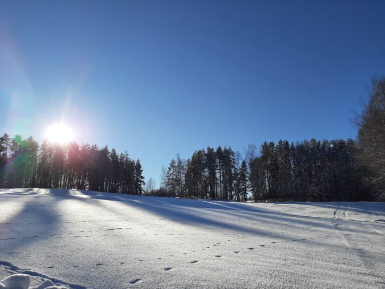 Puhkemaja loodusvaated
