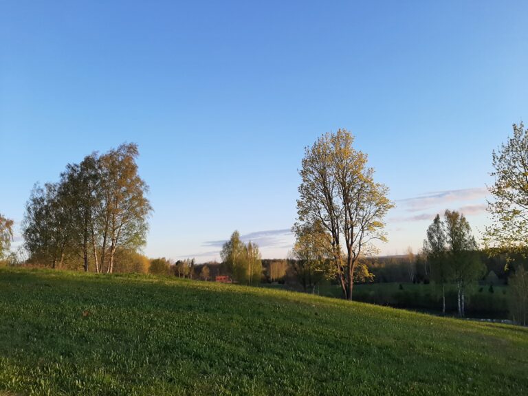 20220513_052957