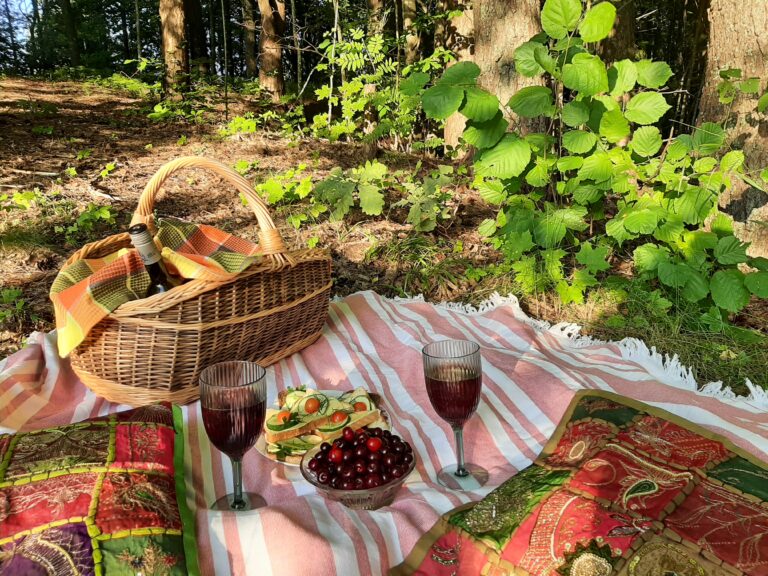 picnic equipment rental