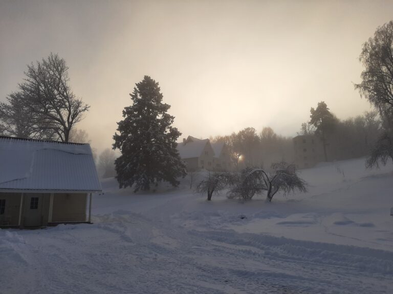 puhkemaja aiavaade talvel