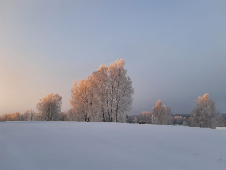 jalutamise võimalused puhkemajas võrumaal