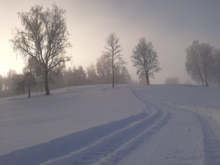 kelgutamise võimalusega puhkemaja võrumaal