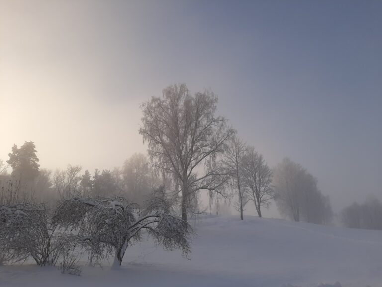 puhkemaja aiavaade talvel