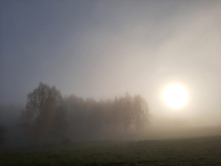 jalutamise võimalusega puhkemaja võrumaal