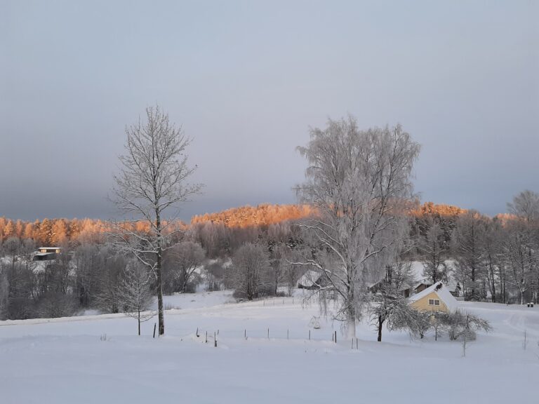 aastaringselt avatud puhkemaja vürumaal