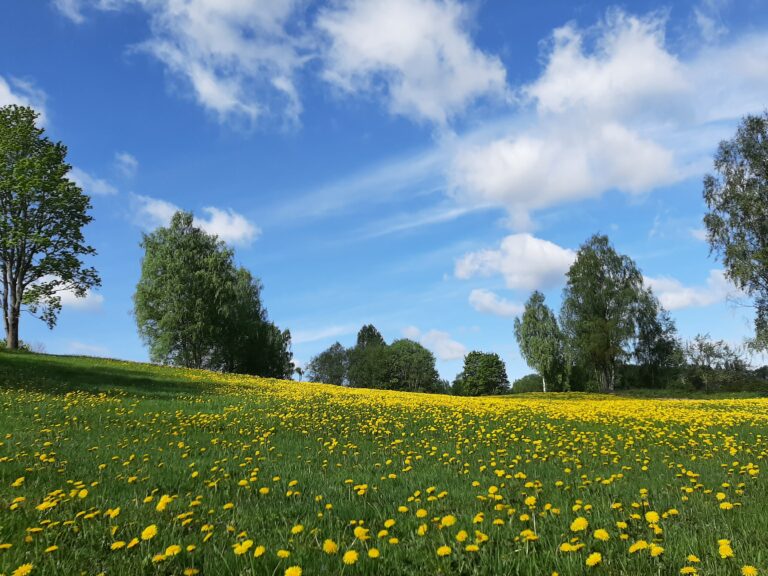 kaunid vaated puhkemaja ümbruses
