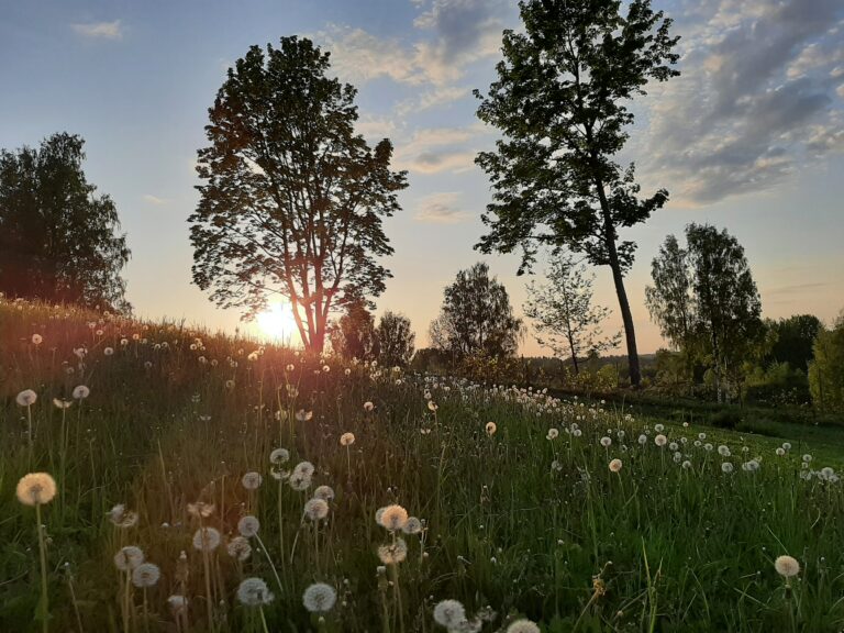looduskaunite vaadetega puhkemaja