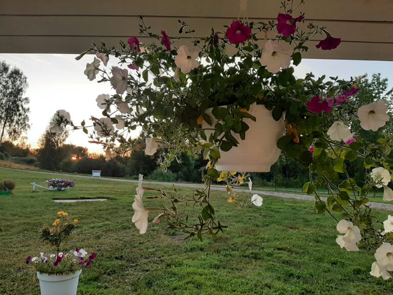 terrassiga puhkemaja võrumaal